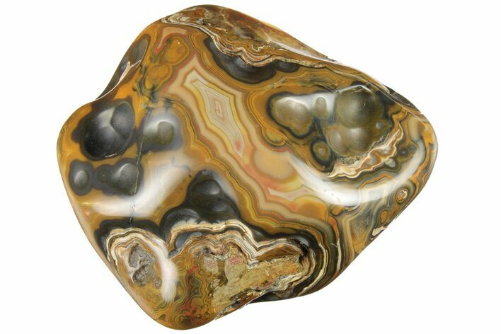 Polished Banded Fairburn Agate - Nebraska #189395